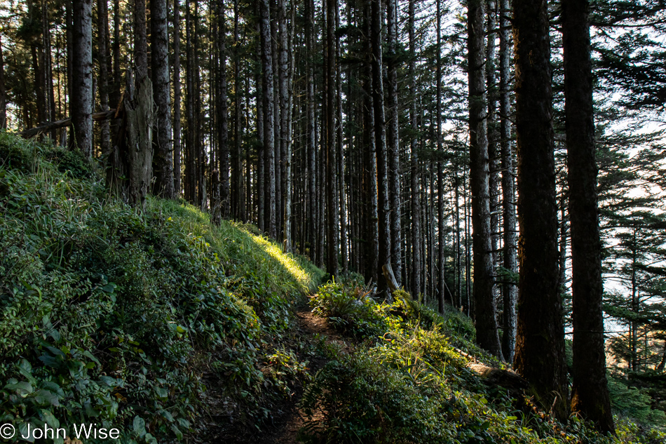 Arch Rock to Secret Beach Trail in Brookings, Oregon