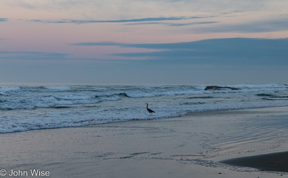 Ocean Beach in Florence, Oregon