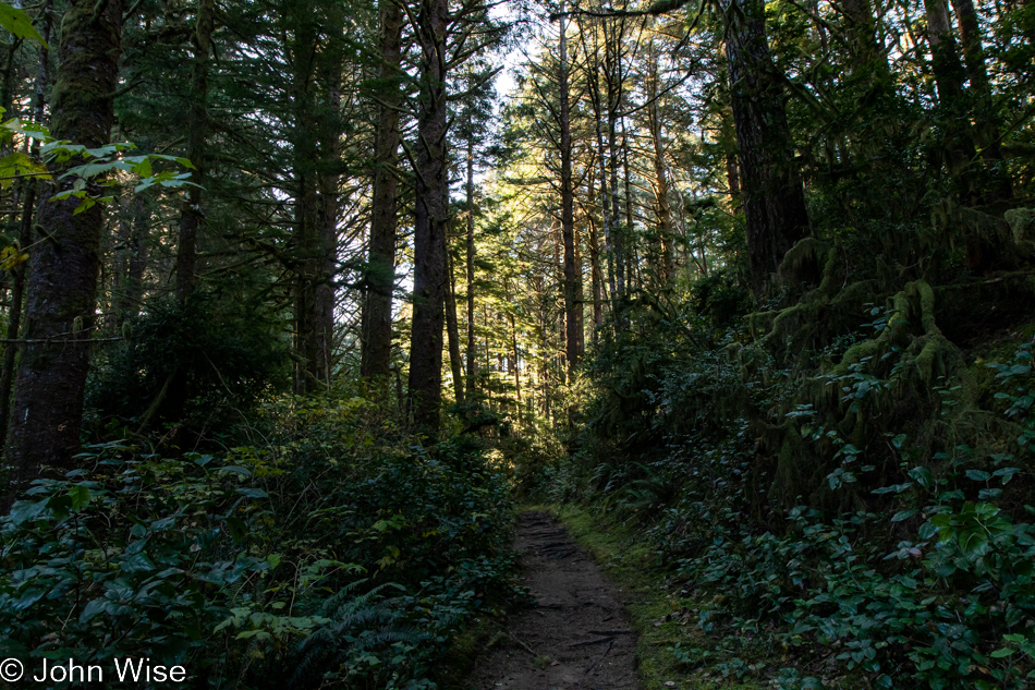 Carl G. Washburne Memorial State Park in Florence, Oregon