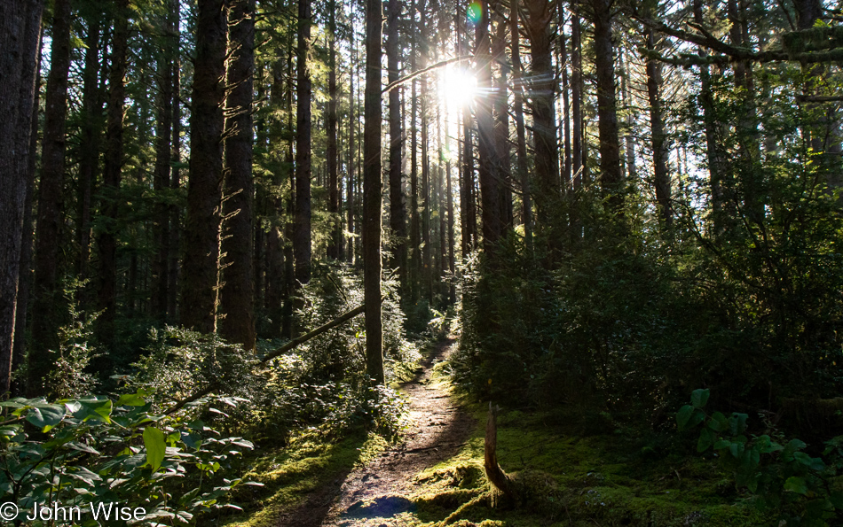 Carl G. Washburne Memorial State Park in Florence, Oregon