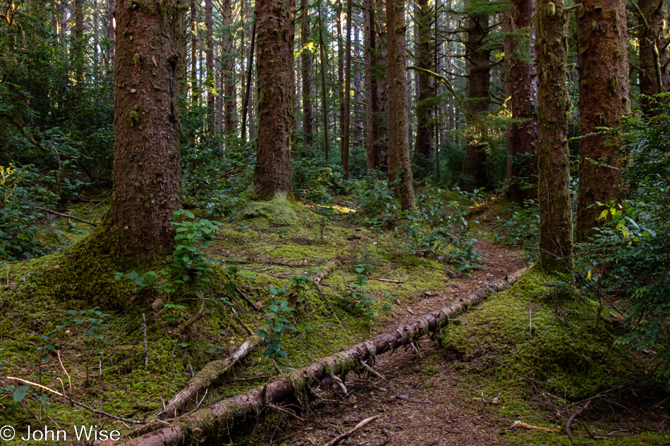 Carl G. Washburne Memorial State Park in Florence, Oregon