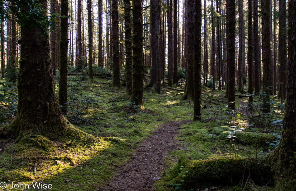 Carl G. Washburne Memorial State Park in Florence, Oregon