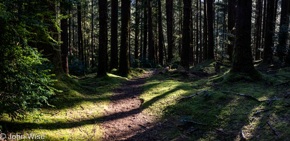 Carl G. Washburne Memorial State Park in Florence, Oregon