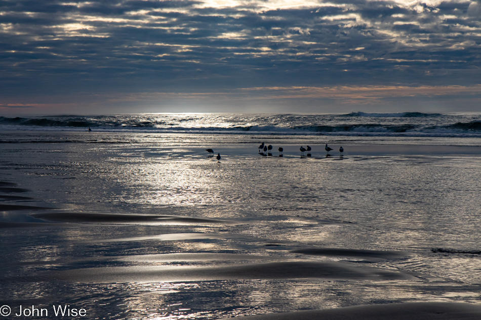 Stonefield Beach in Florence, Oregon