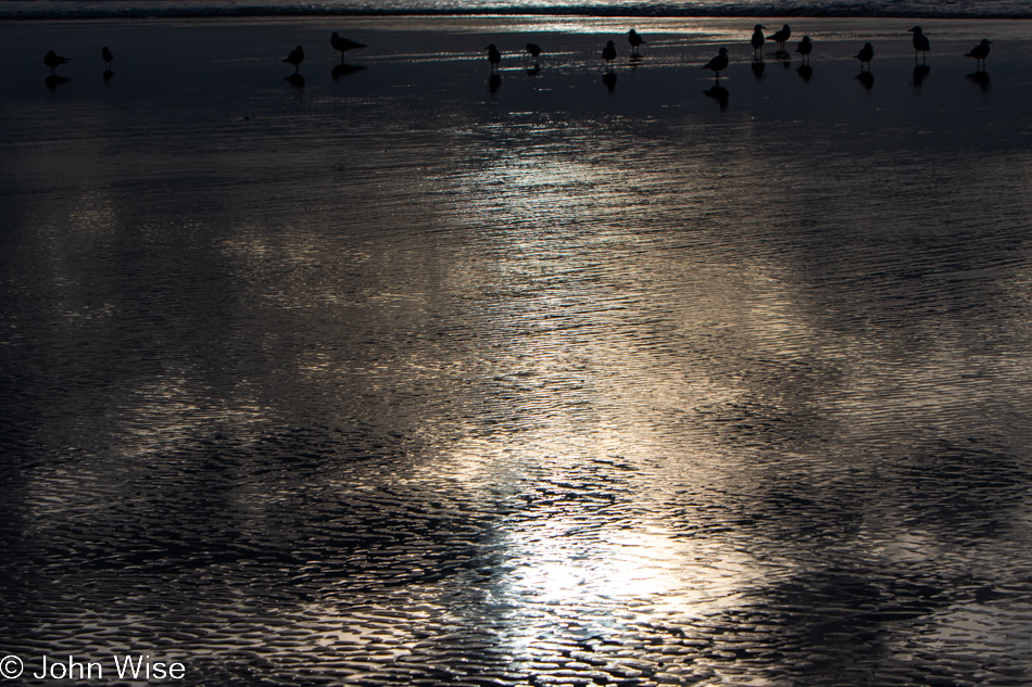 Stonefield Beach in Florence, Oregon