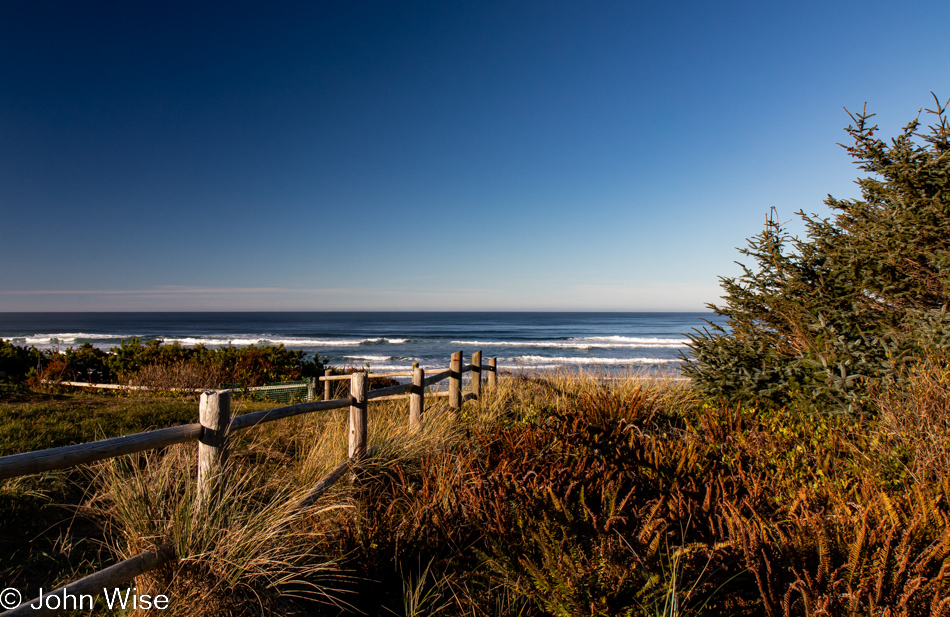 Driftwood Beach south of Seal Rock, Oregon