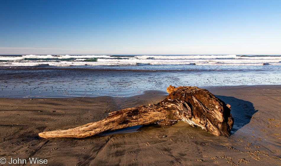 Driftwood Beach south of Seal Rock, Oregon