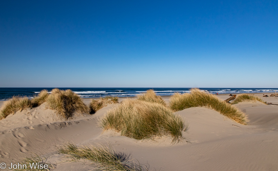 Harbor Vista County Park in Florence, Oregon