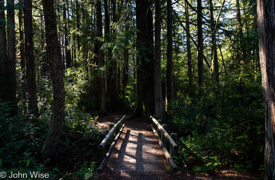 Darlingtonia State Natural Site in Florence, Oregon