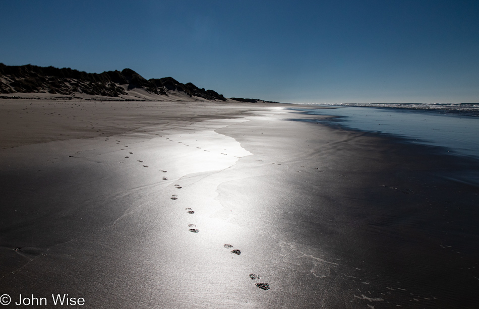 North of Baker Beach in Florence, Oregon