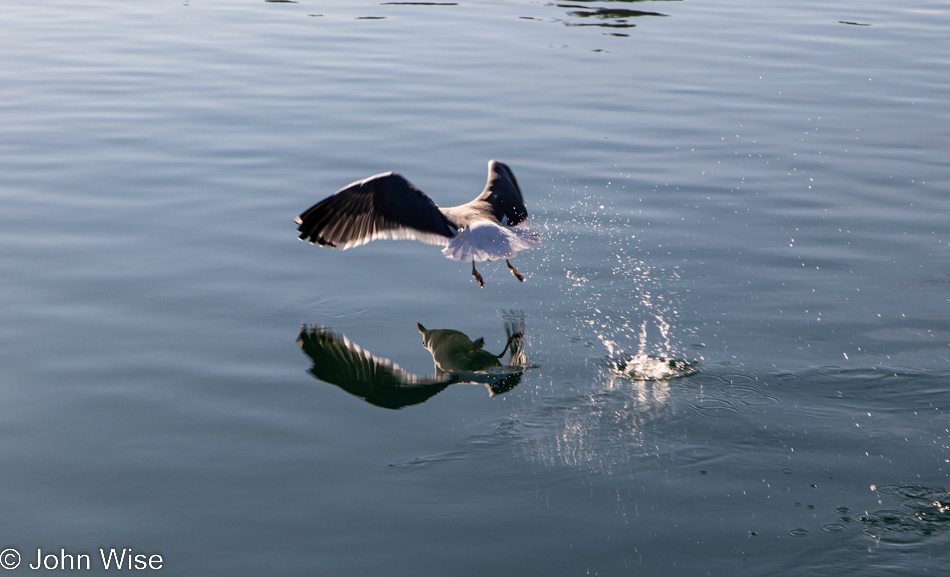 On the Coquille River in Bandon, Oregon