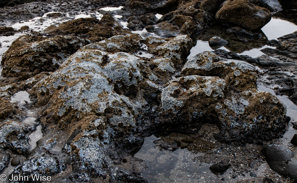 Bob Creek Beach in Yachats, Oregon