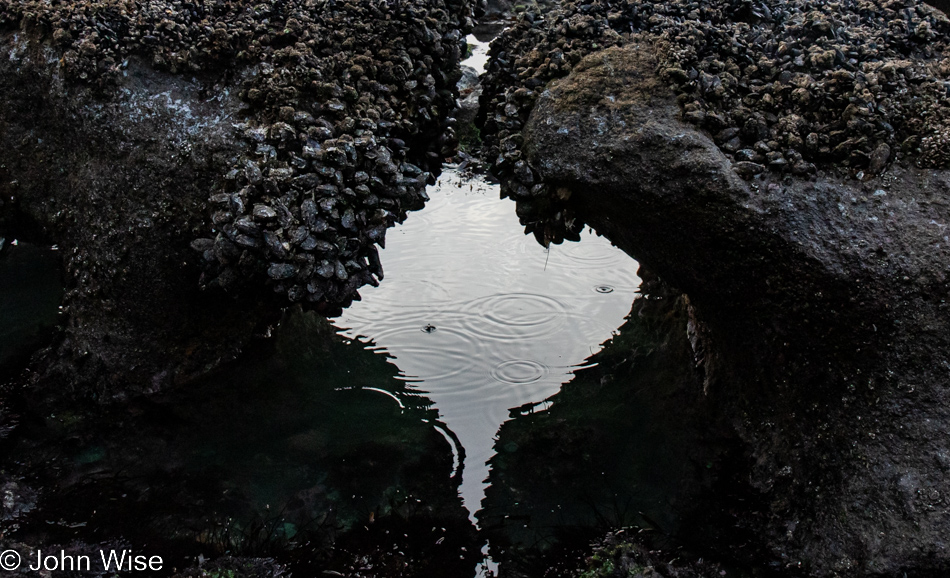 Bob Creek Beach in Yachats, Oregon