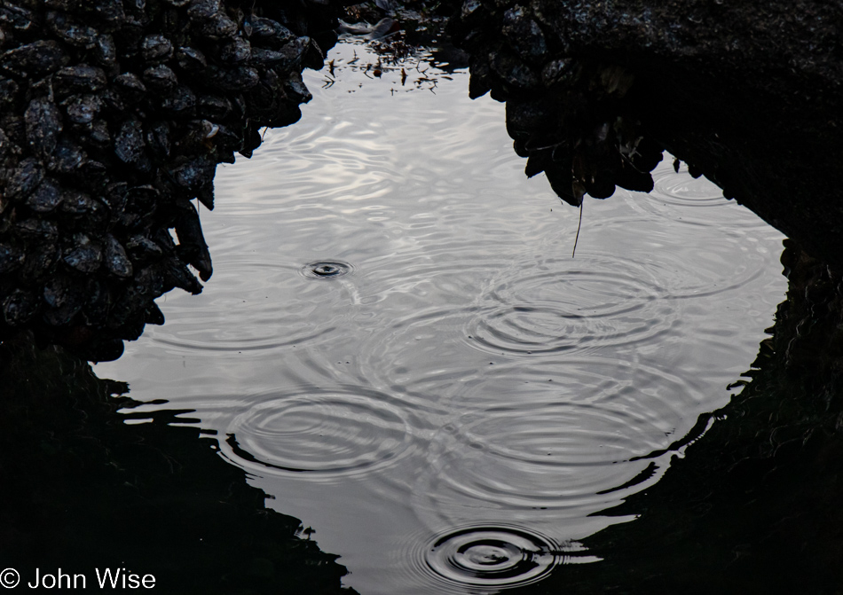 Bob Creek Beach in Yachats, Oregon