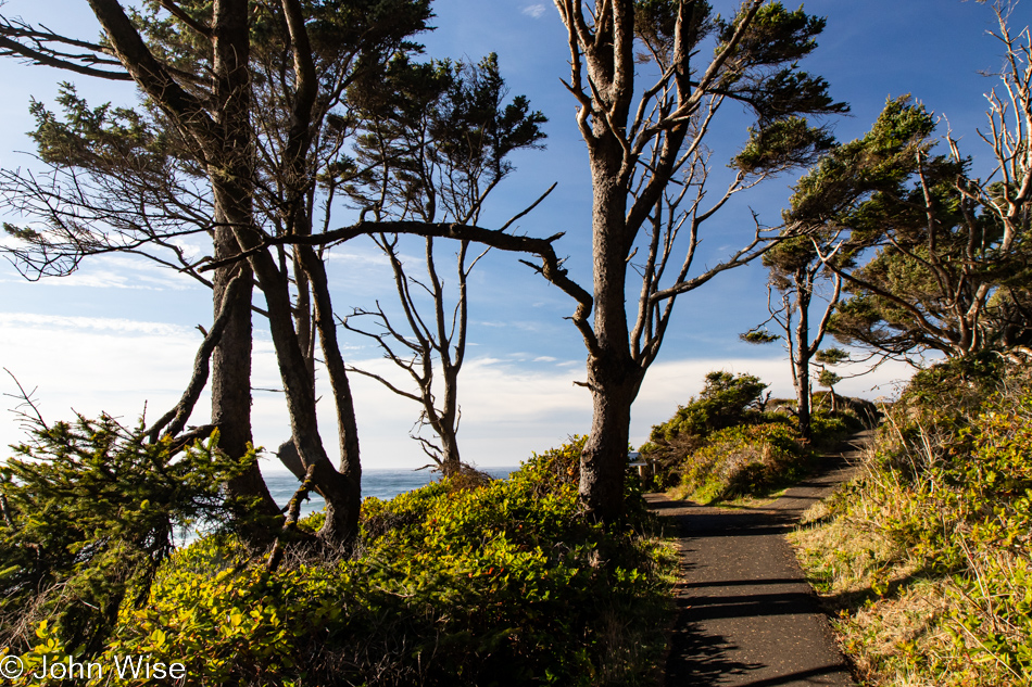 Cove Beach at Cape Perpetua in Yachats, Oregon