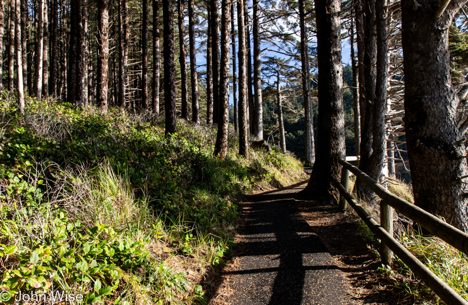 Cove Beach at Cape Perpetua in Yachats, Oregon