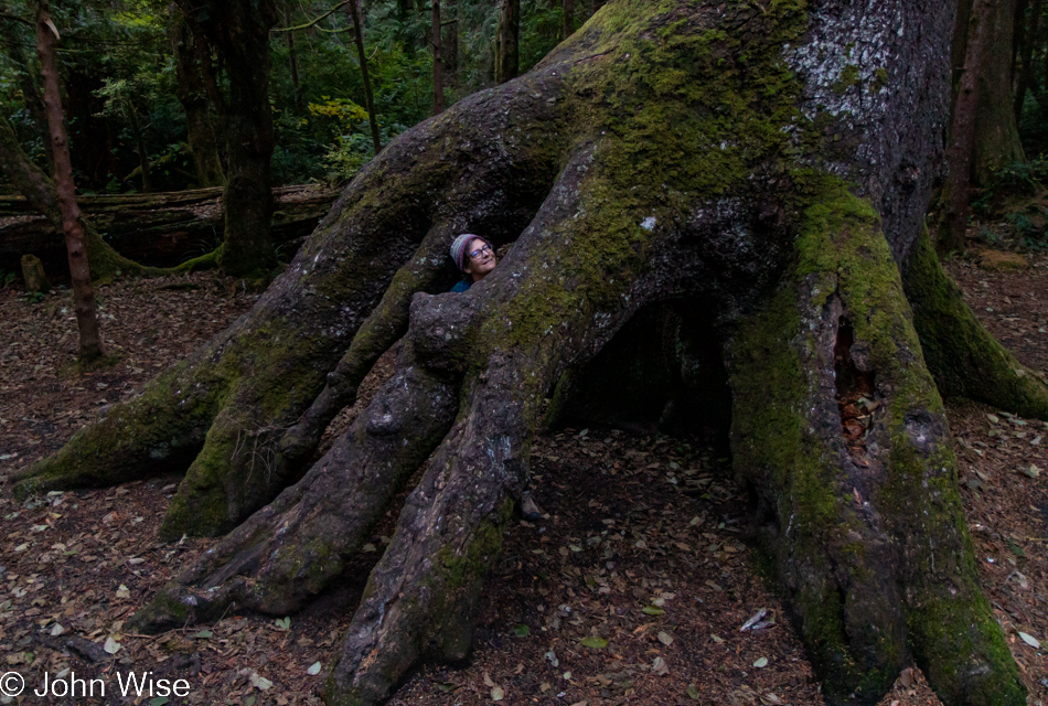 Caroline Wise in front of yurt at Cape Lookout State Park in Tillamook, Oregon