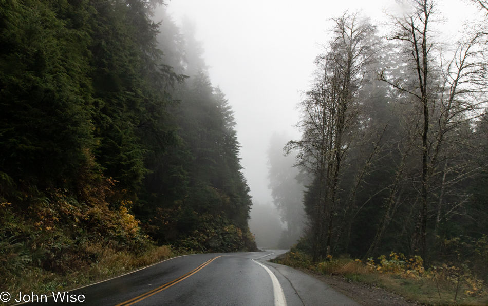 South of Tillamook, Oregon on a foggy road