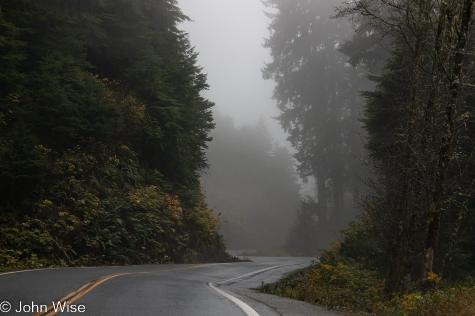 South of Tillamook, Oregon on a foggy road