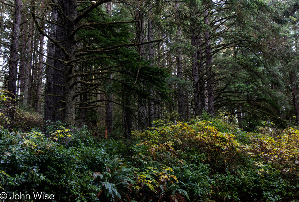 Umpqua Lighthouse State Park in Reedsport, Oregon