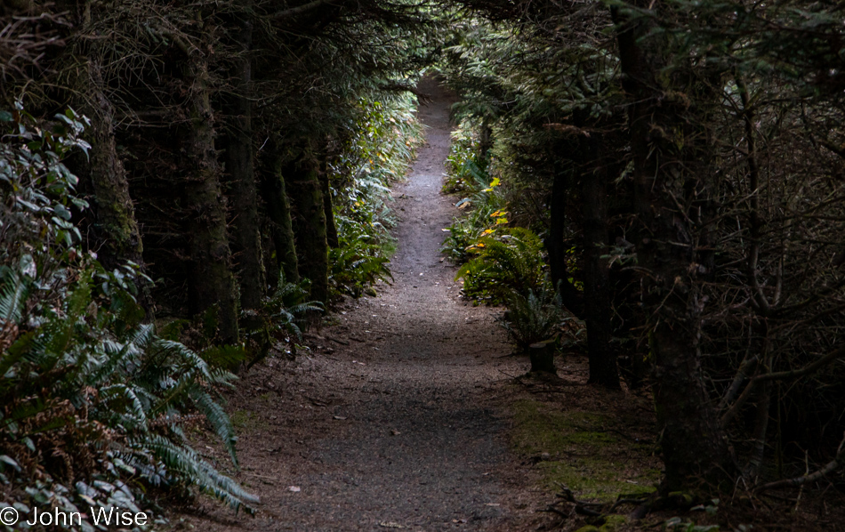 Cape Sebastian Trail in Gold Beach, Oregon