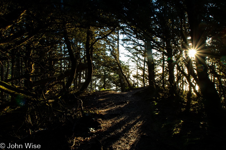 Cape Sebastian Trail in Gold Beach, Oregon