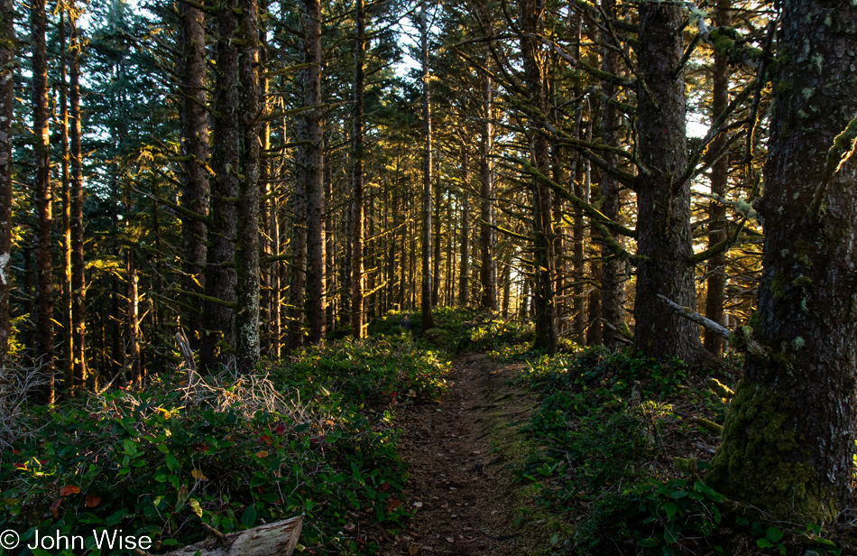 Cape Sebastian Trail in Gold Beach, Oregon