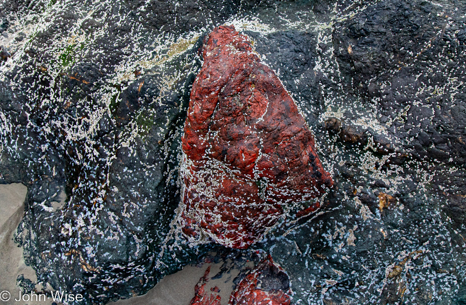 Coquille Point National Wildlife Refuge in Bandon, Oregon