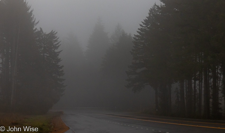 Highway 101 north of Bandon, Oregon