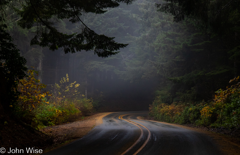 Road to Umpqua Lighthouse State Park in Reedsport, Oregon