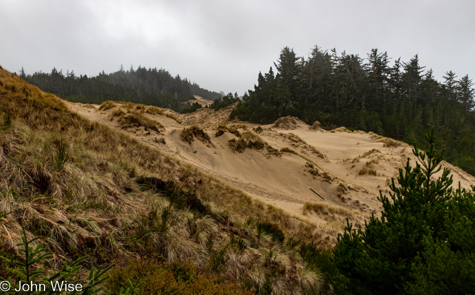 Oregon Dunes Overlook in Gardiner, Oregon
