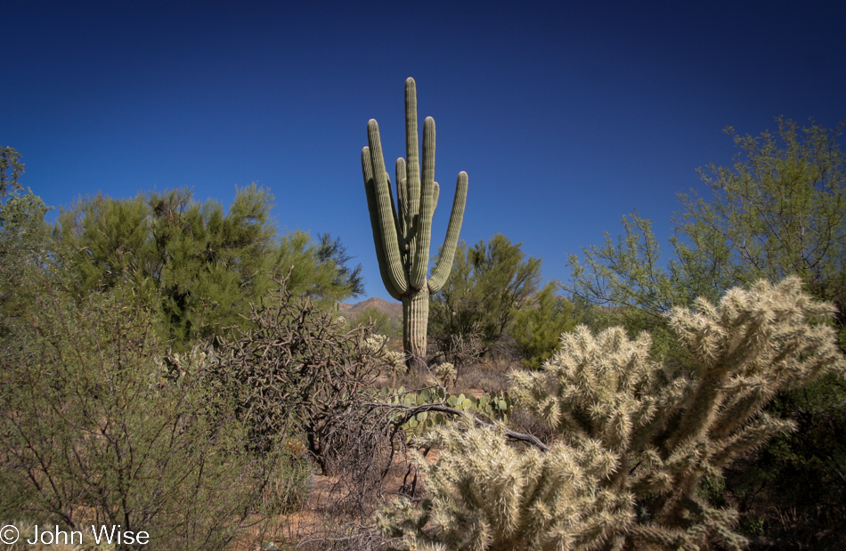 On highway 79 in Arizona