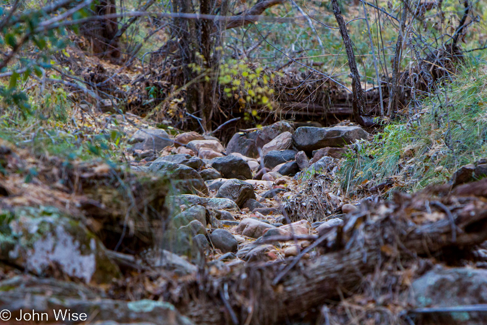 Hiking in Sedona, Arizona