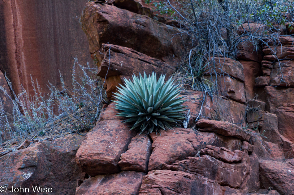 Hiking in Sedona, Arizona