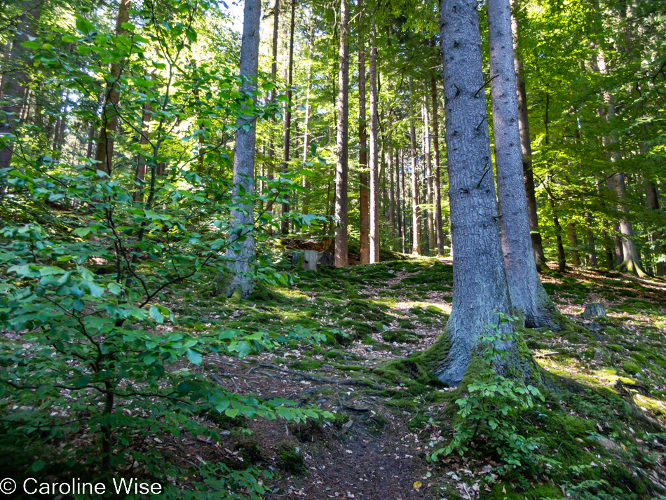 Taunus, Germany