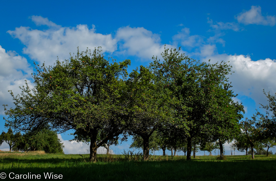 Near Bad Soden, Germany