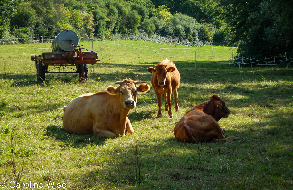 Near Bad Soden, Germany