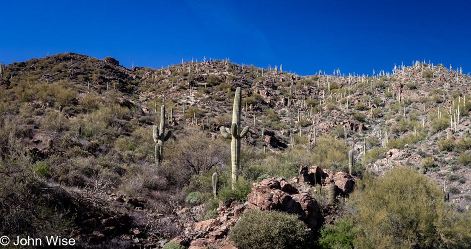 View from Highway 77 in Arizona