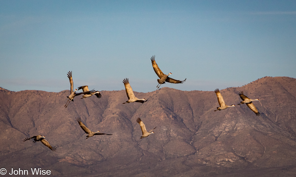 Whitewater Draw Wildlife Area in McNeal, Arizona