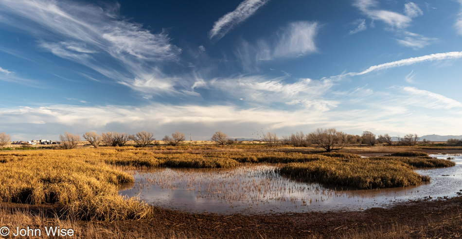 Whitewater Draw Wildlife Area in McNeal, Arizona