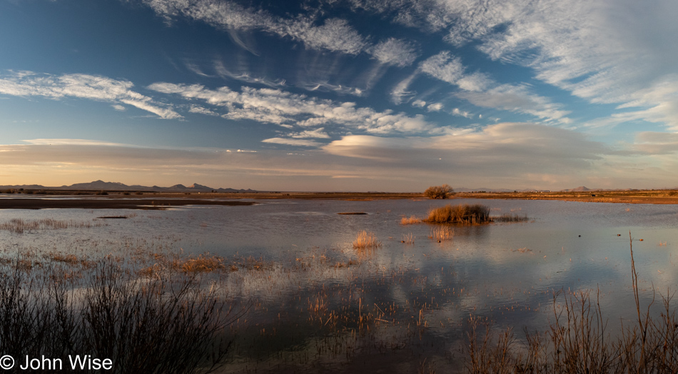 Whitewater Draw Wildlife Area in McNeal, Arizona