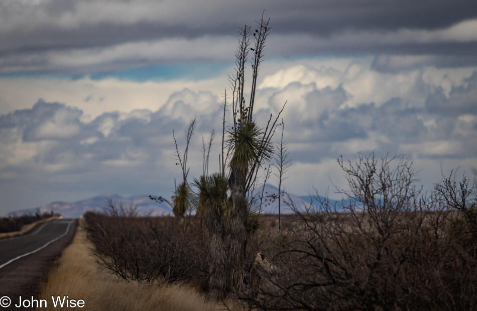 Duncan Highway north of Lordsburg, New Mexico