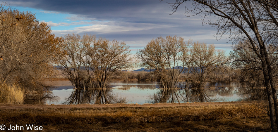 Bosque Del Apache in Socorro, New Mexico