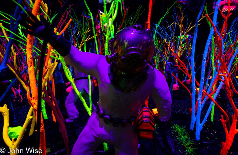 Meow Wolf in Santa Fe, New Mexico