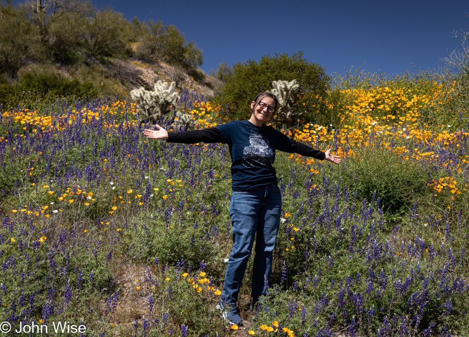 Caroline Wise and Wildflowers off Highway 177 in Arizona