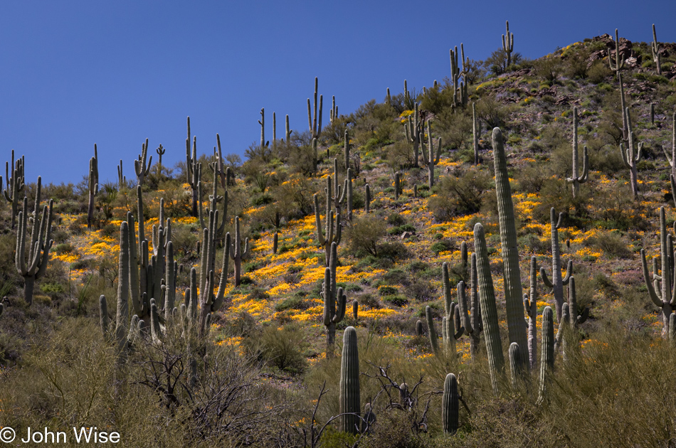 Highway 77 in Arizona