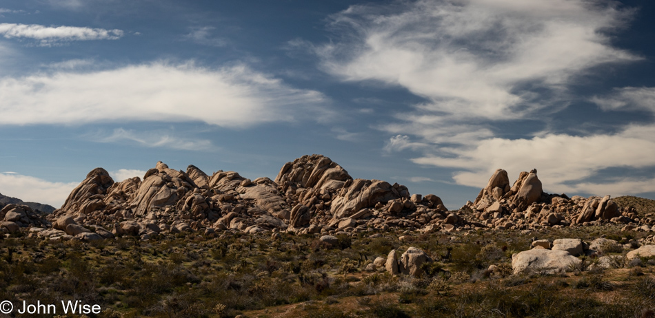 Mojave National Preserve in California