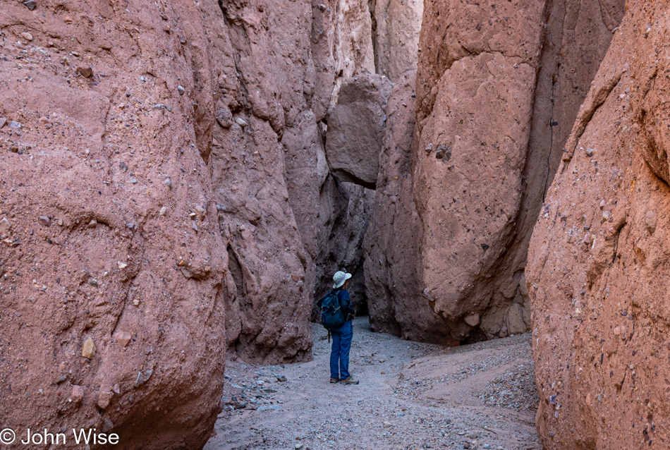 Caroline Wise at Room Canyon at Death Valley National Park, California