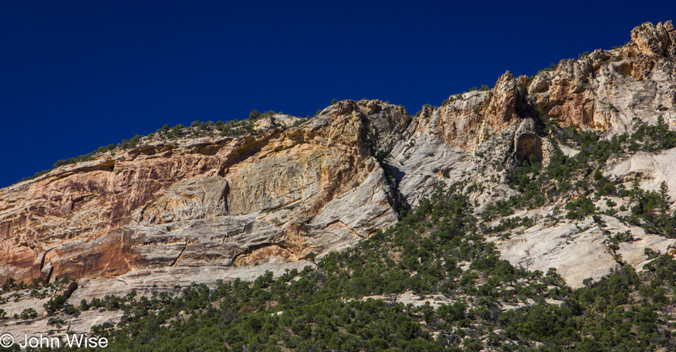 Yampa River in Dinosaur National Monument, Utah