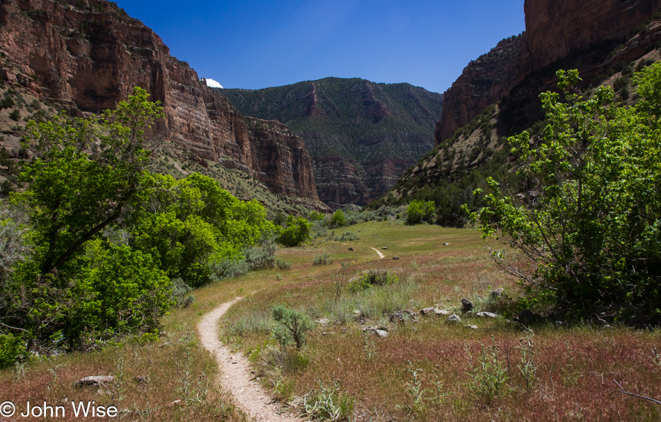 Hiking off the Yampa River in Dinosaur National Monument, Utah